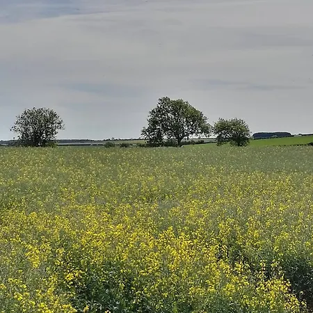 Westmoreland Weaverthorpe